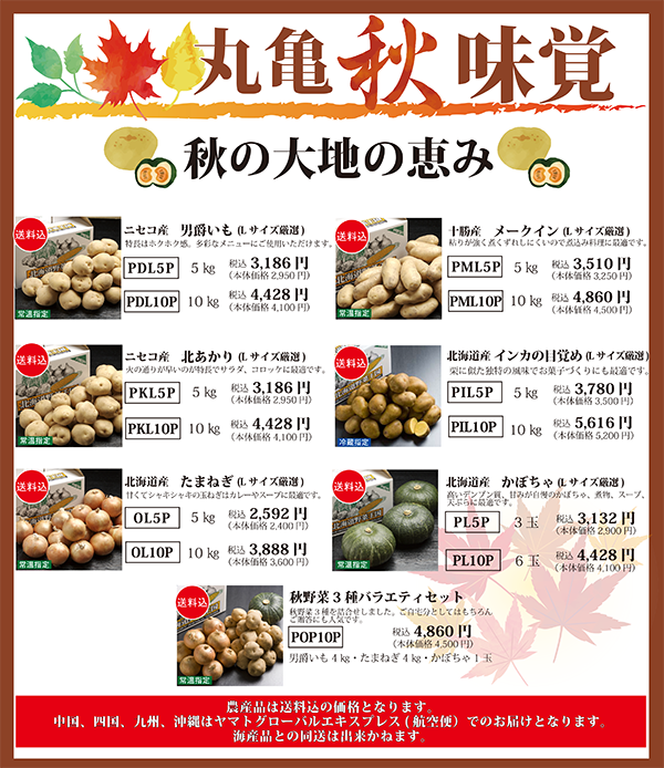 北海道産 秋野菜販売開始
