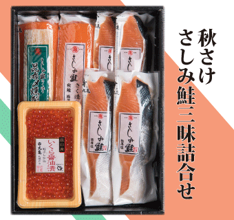 さしみ鮭秋さけ