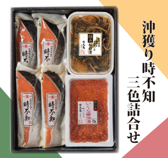 沖獲り時不知の三色詰合せ