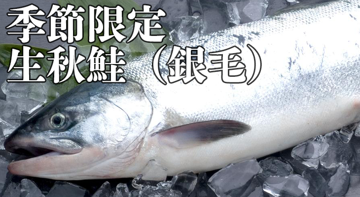 生秋鮭姿切身(銀毛メス)　AMG3235　3.2kg～3.5kg　両面切身・いくら醤油漬付