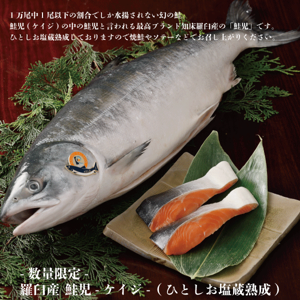 羅臼産 鮭児-ケイジ- (ひとしお塩蔵熟成) 1切 KHP8