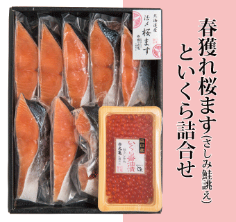 活〆桜ます(さしみ鮭誂え)半身切身といくら醤油漬詰合せ