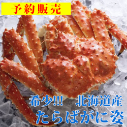 北海道産 本たらばがに