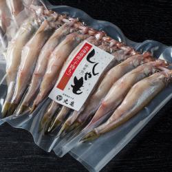 生干しししゃも